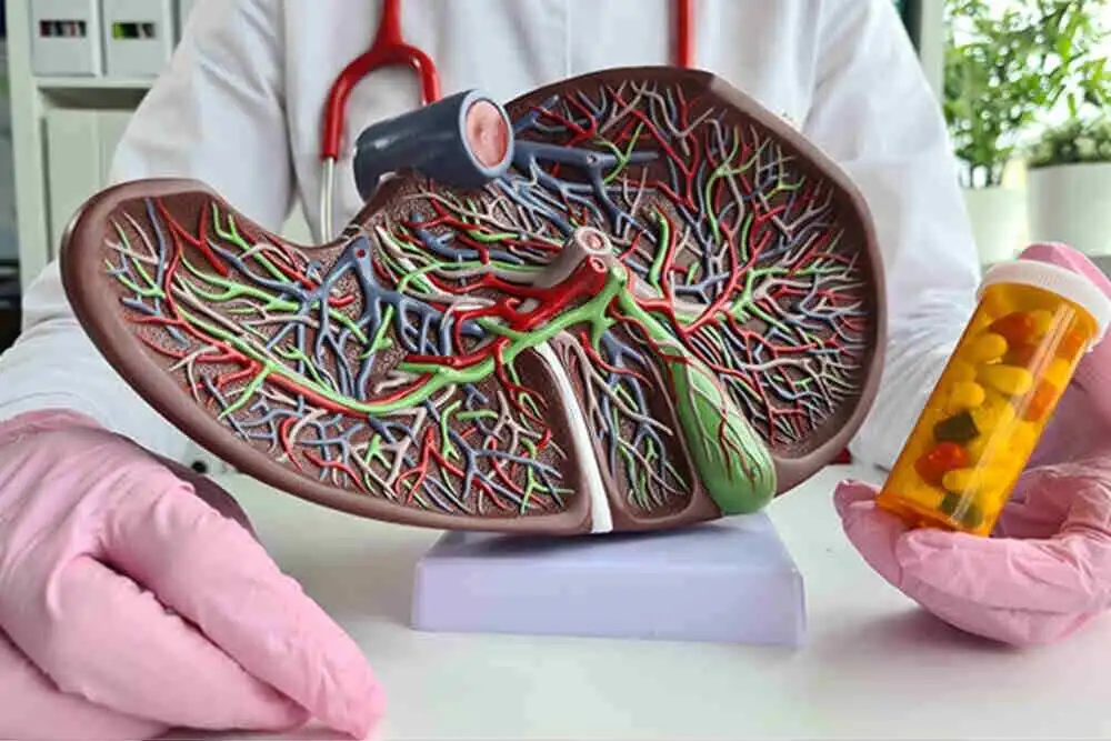 How Does Biliary Drainage Work